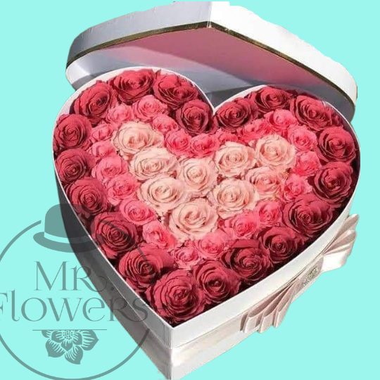 Caja de Rosas Degradado Caja de Rosas Degradado