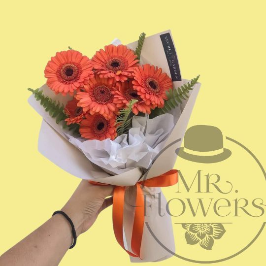 Ramo de 12 Gerberas Ramo de 12 Gerberas
