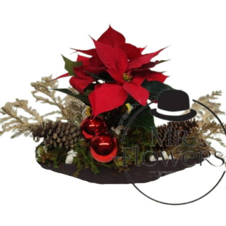 Centro de Mesa con noche buena Grande