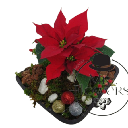 Centro de mesa con noche buena chico