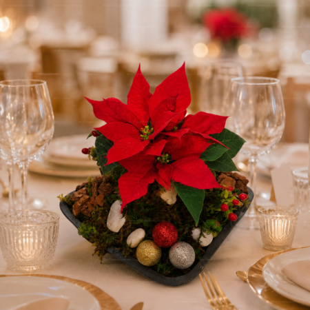 Centro de mesa con noche buena chico