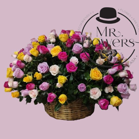 Canasta de 100 rosas Multicolor