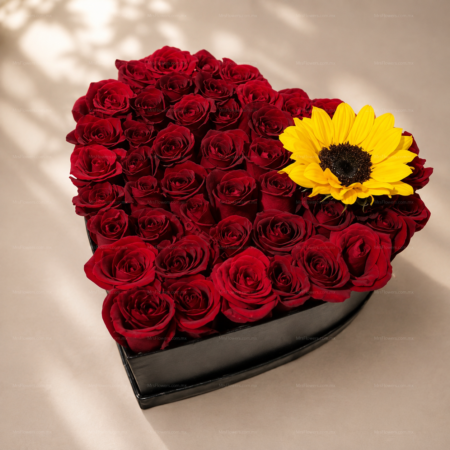 Corazón con 49 rosas y 1 girasol