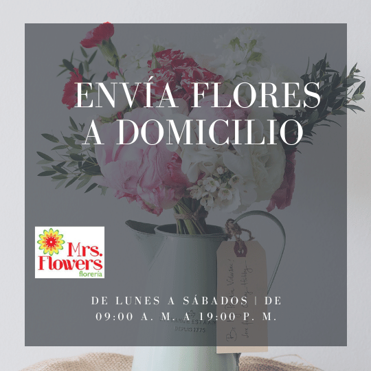 Envía flores a domicilio