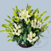 Pie de Caja Blanco Elegante Queretaro Pie de Caja Blanco Elegante Queretaro