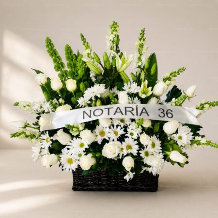 Pie de Caja Blanco Queretaro Pie de Caja Blanco Queretaro