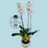 Orquídea en Base Plata