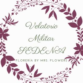 Velatorio Militar SEDENA