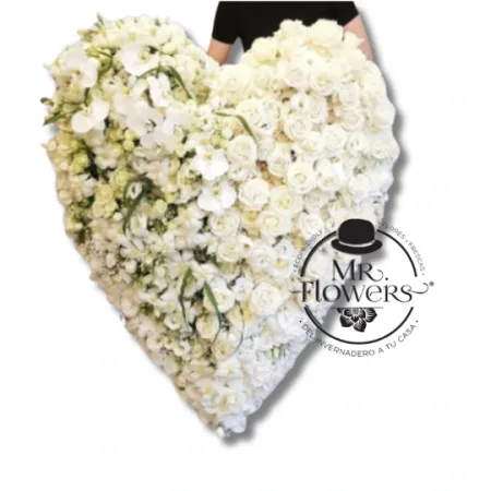 Corazón Blanco Premium