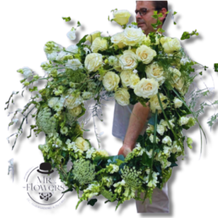 Corona Cintilla Premium