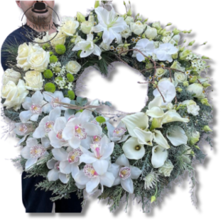 Corona Cymbidium Premium