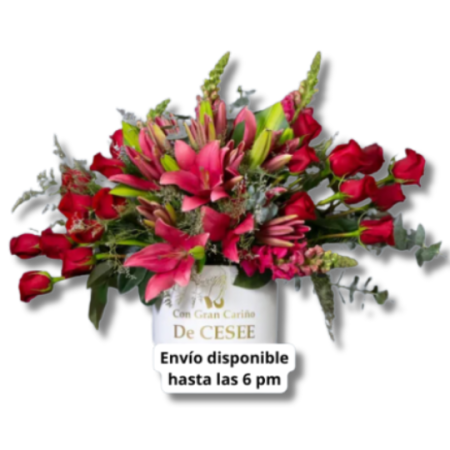 Arreglo Abrazame León