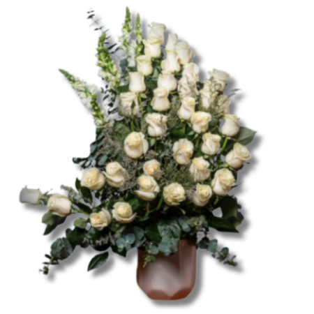 Aurora Fúnebre León