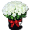 Caja 48 Rosas Blancas Toluca
