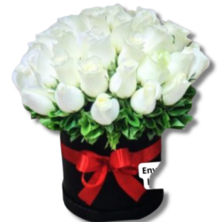 Caja 48 Rosas Blancas Toluca
