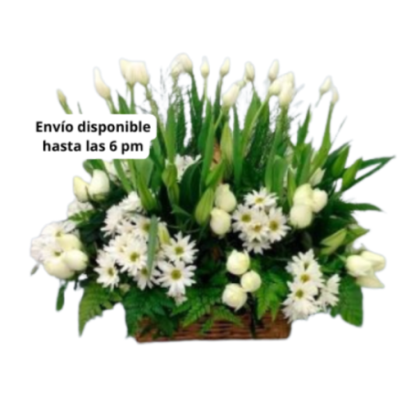 Canasta con 20 Tulipanes y Rosas Toluca