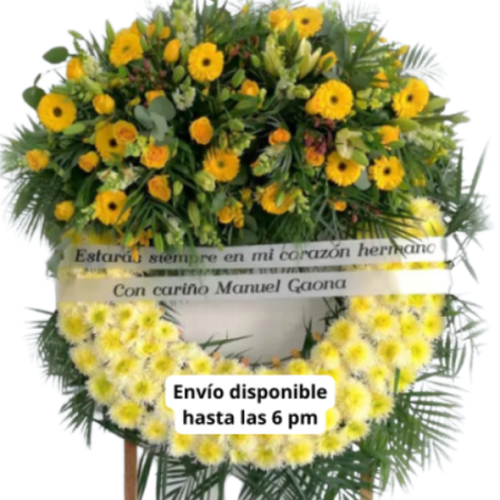 Corona Amarilla Especial León