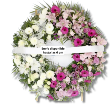 Corona Blanco y Rosa León