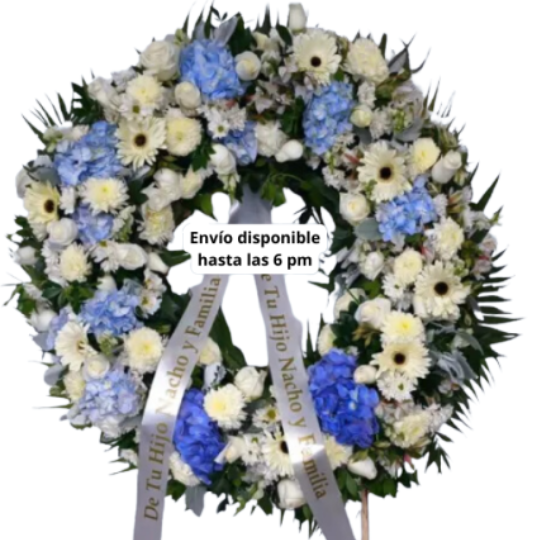 Corona Blue León