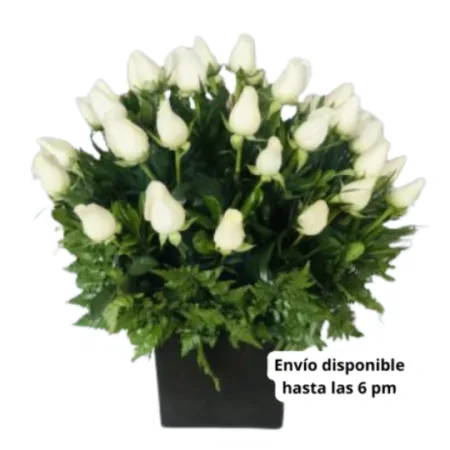 Cubo de Rosas Toluca