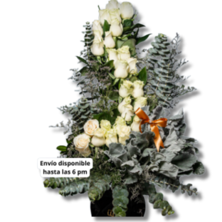 Escalera al Cielo León