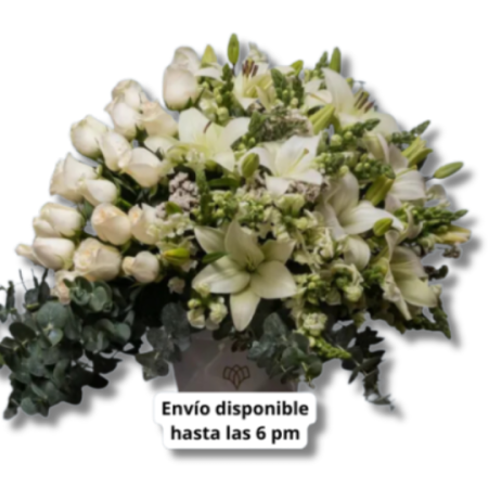 Imperial Fúnebre León