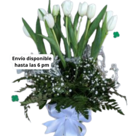 Jarrón de 10 Tulipanes Blancos Toluca