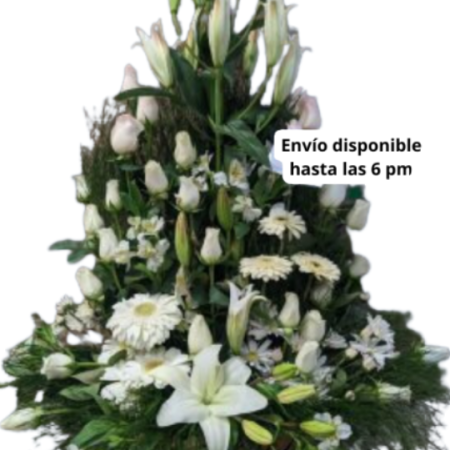 Pie de Caja Grande Toluca