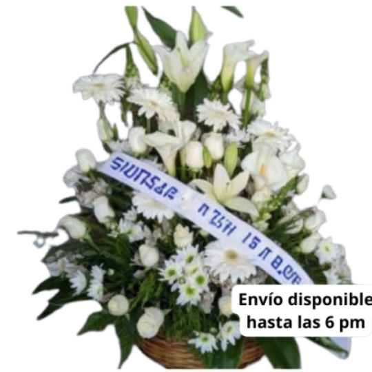 Pie de Caja Toluca