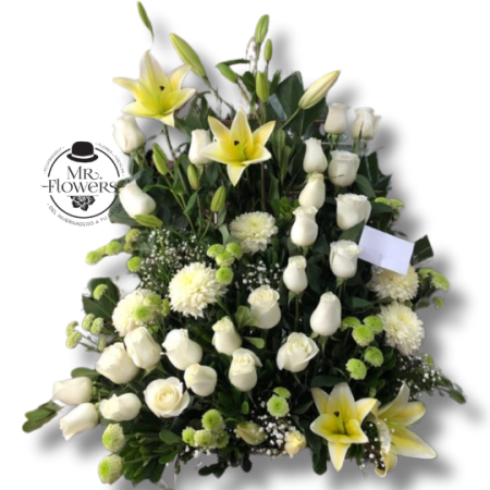 Pie de Caja Blanco Cuernavaca