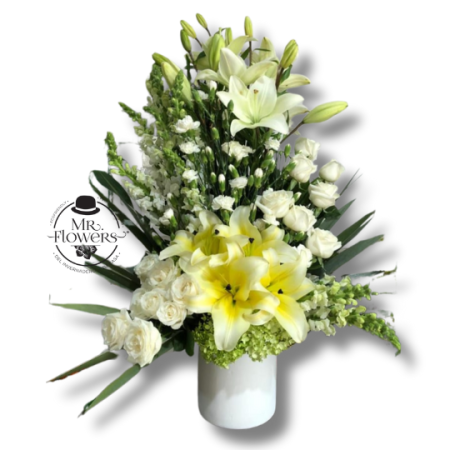 Pie de Caja Elegante Cuernavaca