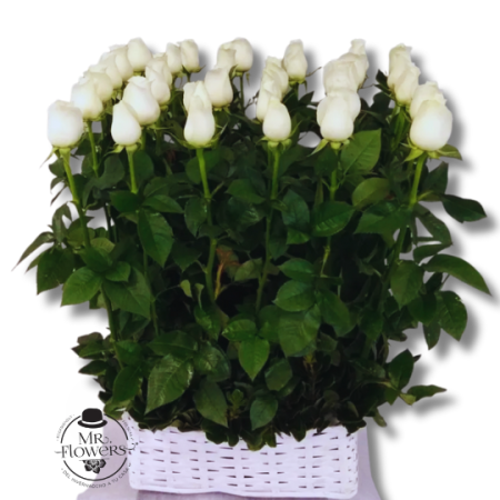 Arreglo Blanco Premium 6