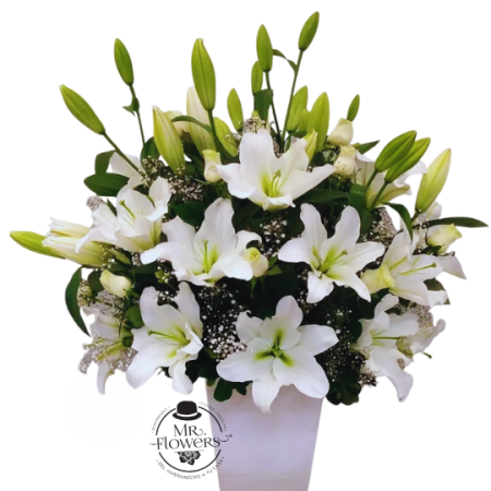 Arreglo Blanco Premium 2