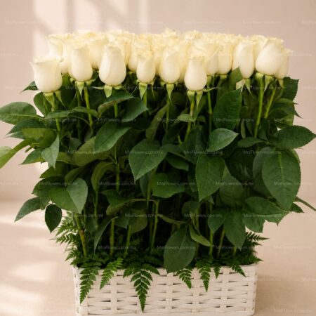 Arreglo Blanco Premium 6