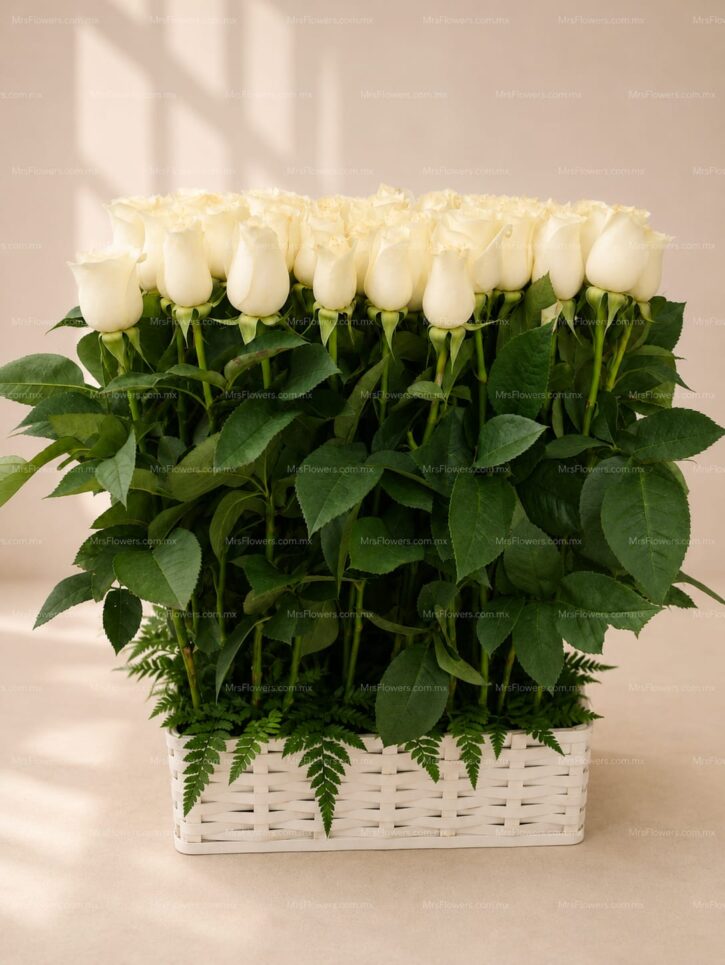 Arreglo Blanco Premium 6 Arreglo Blanco Premium 6