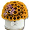 Caja de Girasoles Gigante Caja de Girasoles Gigante