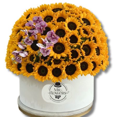 Caja de Girasoles Gigante