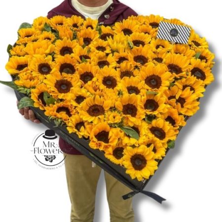 Alegría de Girasoles