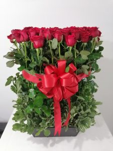rosas rojas