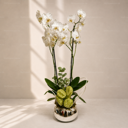 Orquídea en Base Plata Orquídea en Base Plata