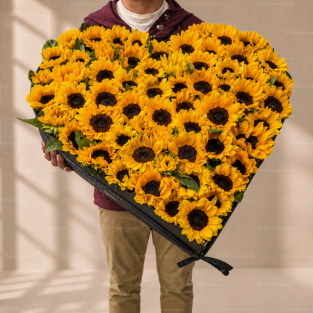 Alegría de Girasoles Alegría de Girasoles