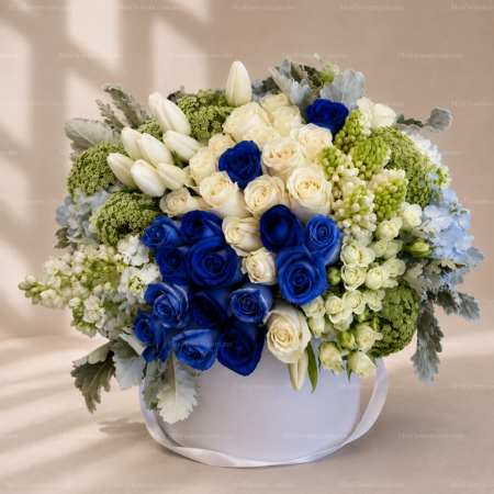 Caja Grande Blanco y Azul Caja Grande Blanco y Azul