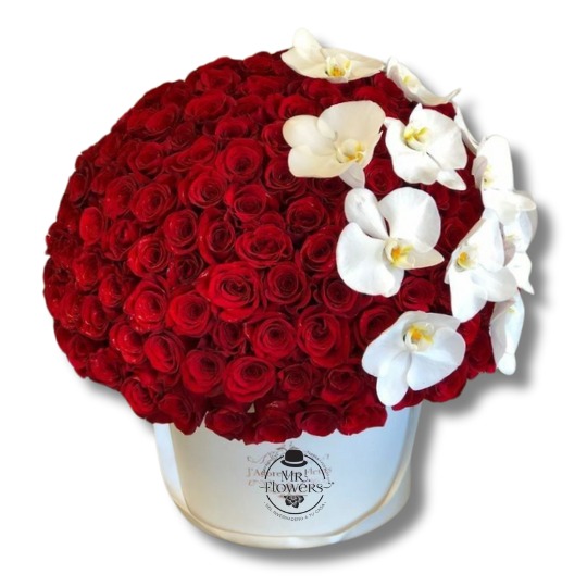 Caja de Rosas y Orquídeas Caja de Rosas y Orquídeas