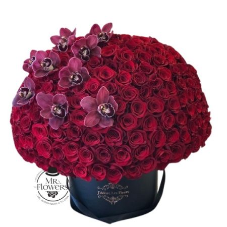 Caja de Rosas Rojas y Cymbidium