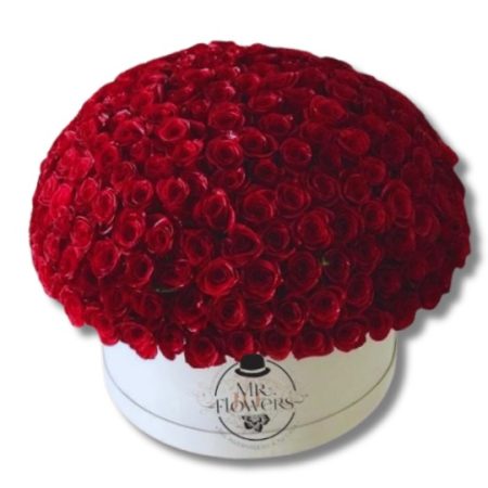 Caja de 300 Rosas Rojas