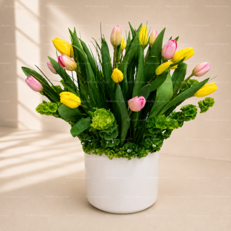 20 Tulipanes Mixtos en Base2_14 20 Tulipanes Mixtos en Base