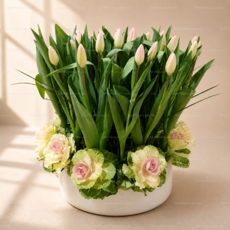 Arreglo de Tulipanes y Coles