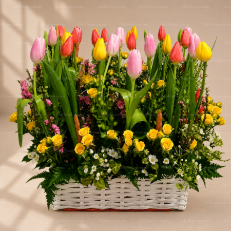 Canasta con 30 Tulipanes Mixtos Canasta con 30 Tulipanes Mixtos
