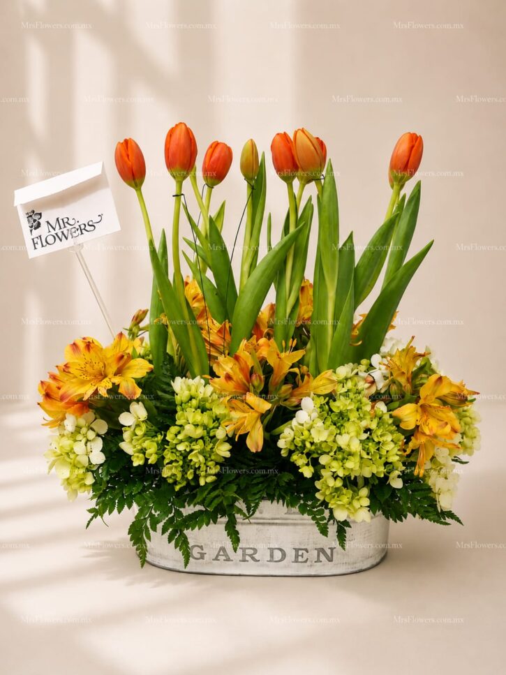 Arreglo de 10 Tulipanes y Alstromelia Arreglo de 10 Tulipanes y Alstromelia