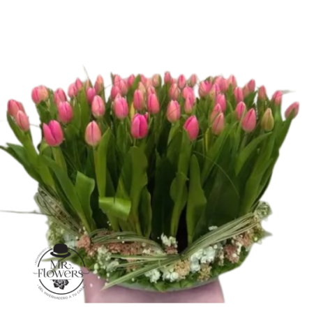 Arreglo de 70 Tulipanes Rosas en Base